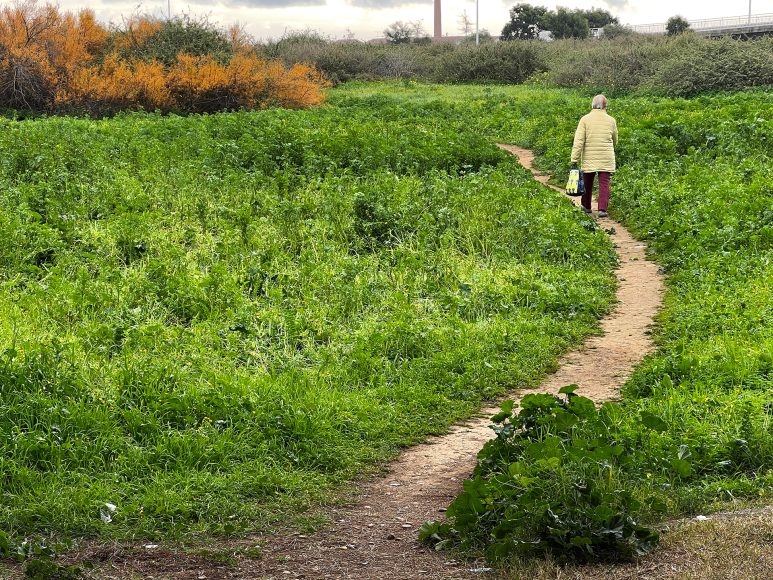 Green path walk