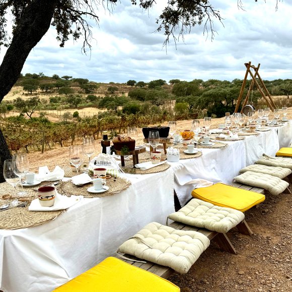Sobroso picnic
