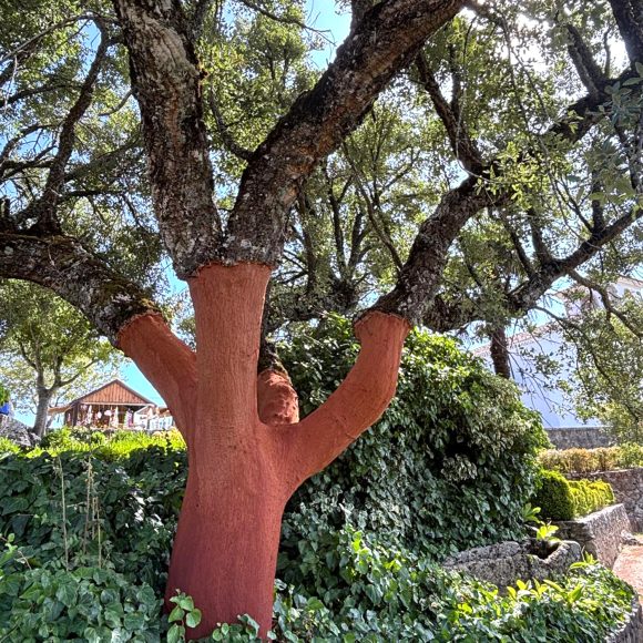 PORTUGAL PHOTOS16