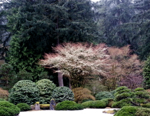 Japanese Gardens   